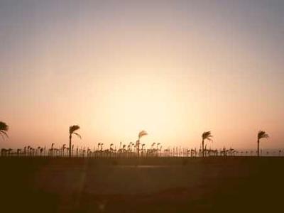 Editorial Content for NYPD Red 8: The 11:59 Bomber