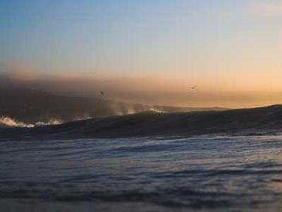 Editorial Content for False Witness