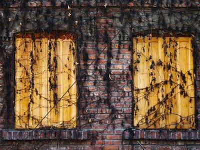 Larrikan acquires Galatola picture book