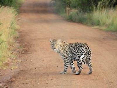 Editorial Content for Her One Regret