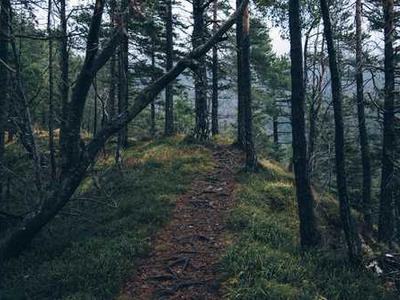 Best Book to Screen Adaptations of 2024 & 2025