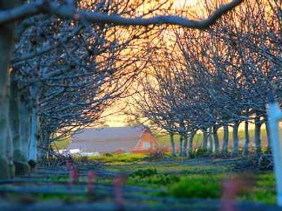 Isola Book Review: Allegra Goodman’s Powerful Story of Resilience