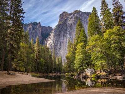 Book Club Questions for Children of Ever After by Avery Yearwood