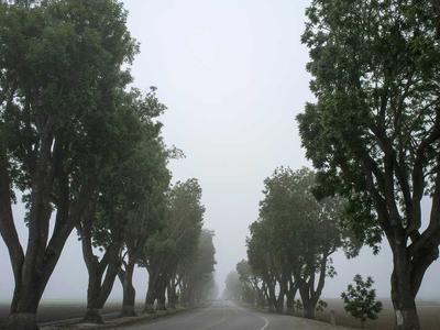 Why Are Book Club Picks Always So Heavy? How About Some Fantasy, Sci-Fi, and Romantasy Instead!