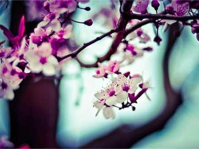 Bookstore Revival: A Nostalgic Journey Back to the Love of Reading