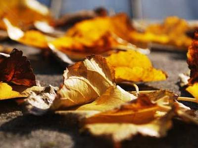 Should you read YA book, Murder on a Summer Break?