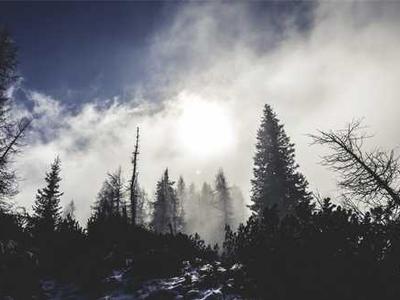Bookstore Revival: A Nostalgic Journey Back to the Love of Reading