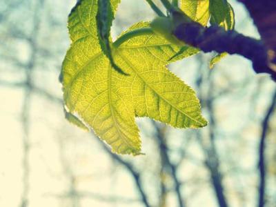 Winter Institute: Independent US publishers stress collaboration