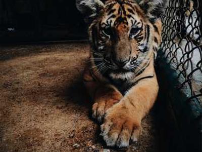 Why Are Book Club Picks Always So Heavy? How About Some Fantasy, Sci-Fi, and Romantasy Instead!