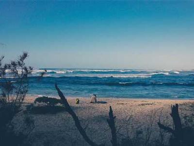 Editorial Content for Friends and Liars 