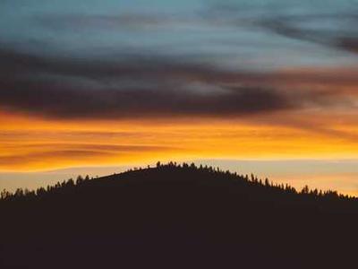 Isola Book Review: Allegra Goodman’s Powerful Story of Resilience