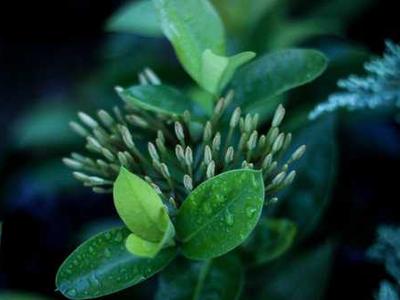 Book Club Questions for Project Hail Mary