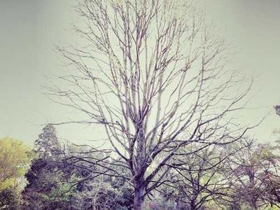 How To Write a Kick-Ass Love Scene