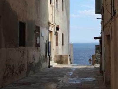 15 Essential Isola Book Club Questions: Discussion Prompts for Allegra Goodman’s Novel