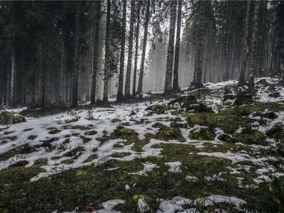 Editorial Content for Revenge, Served Royal