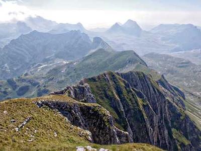 Editorial Content for The Stolen Crown: Treachery, Deceit, and the Death of the Tudor Dynasty